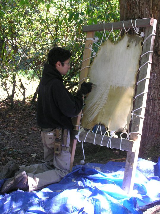 Scraping a deer hide in preparation for traditional brain tanning Scraping A Deer Hide in preparation for Traditional Brain Tanning