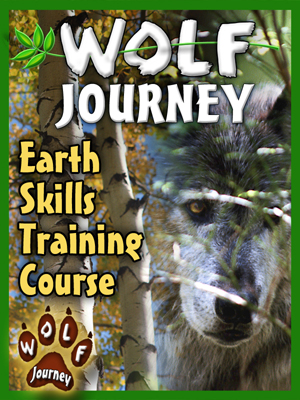 Wolf_Journey-mini-300