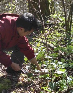 Workshop Participant Harvests Stinging Nettles