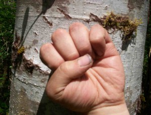 BearScratchFist