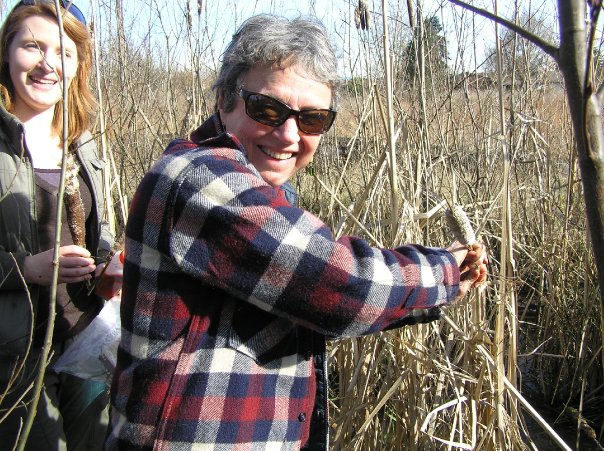 Enthusiastic participants collecting cattails