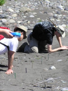 Participants marking tracks along the shore.