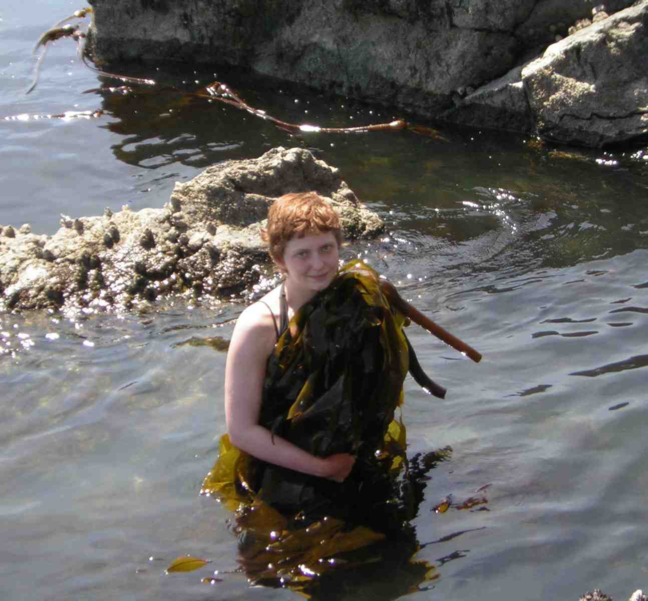 Wolf College Student Collecting Bullwhip Kelp Wolf College Student Collecting Bullwhip Kelp