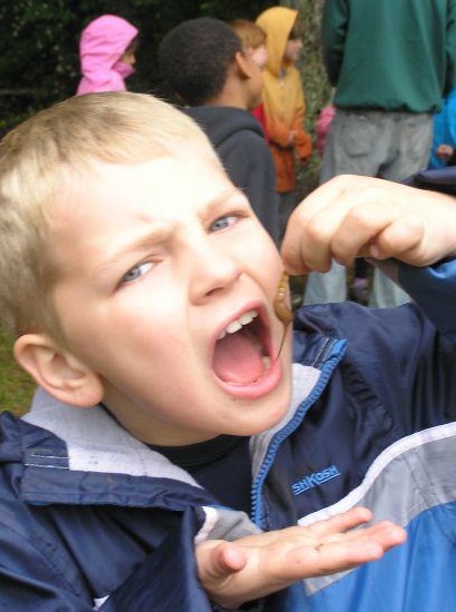 Boy at Wolf Camp eating Chocolate Covered Mealworms Boy at Wolf Camp eating Chocolate Covered Mealworms
