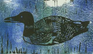 Original lithograph of Common Loon by the author, Chris Chisholm 1998 Original lithograph of Common Loon by the author, Chris Chisholm 1998