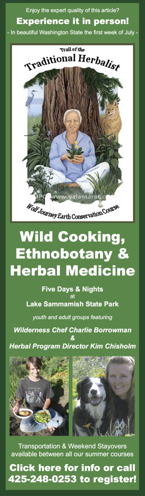 Ad-Blog-Herbal