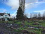 Day 20: Blue Skye Farm Permaculture Design, Blueberry Mulching & Community Garden Installation