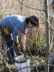 Day 29: TOP 10 Most Important Local Wild Edible Plants