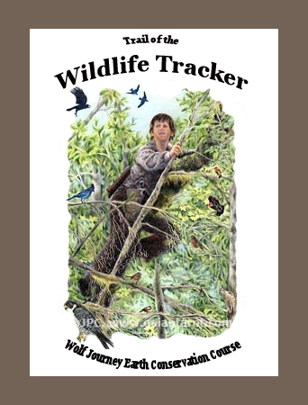 Reviews of the Top 10 Professional Wildlife Tracking Books | Wolf Camp &  School of Natural Science at Blue Skye Farm