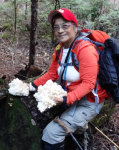 Top 5 Wild Edible Mushrooms for Wilderness Survival in the Northwest