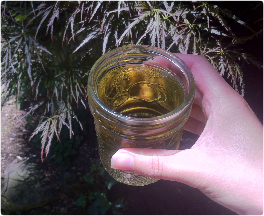 how to make nettle tea