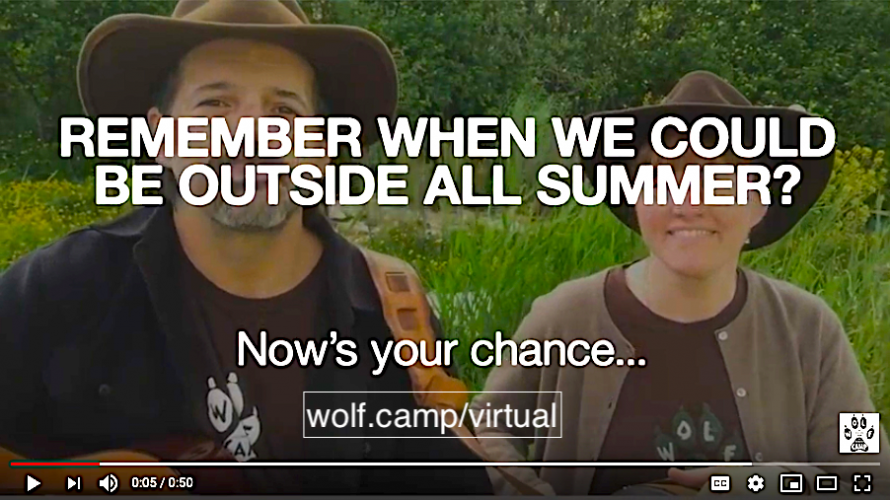 The Original STEAM Educational Experience - Online Wolf Camps & Academic Year Programs